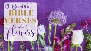 Bible Verses About Flowers