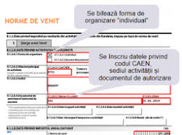 Maybe you would like to learn more about one of these? Model Completare Declaratia Unica 2021 Norme De Venit Cabinetexpert Ro Blog Contabilitate