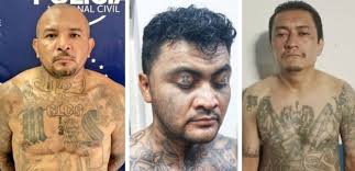 PNC recibió más de 9,500 denuncias contra mareros en dos meses