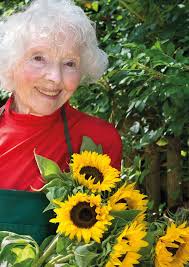 PART OF THE TIDE COLLECTION