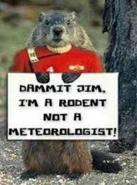 Lol Although He Needs A Blue Science Uniform Star Trek Funny Happy Groundhog Day Groundhog Day