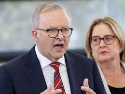 Backroom Baz: Anthony Albanese holding firm