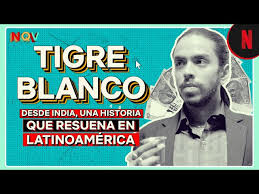 Tigre libro para colorear adulto tigre blanco mamifero png pngegg from e7.pngegg.com. Tigre Blanco Una Historia En India Que Resuena En Latinoamerica Youtube
