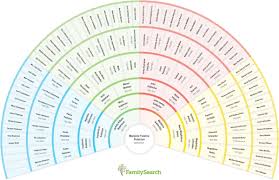 25 Comprehensive Familysearch Fan Chart