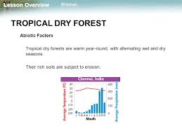 Lesson Overview 4 4 Biomes Ppt Video Online Download