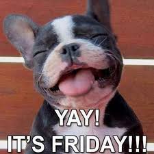 Check spelling or type a new query. 97 Funny Friday Memes Images Of Happy Friday Memes Boom Sumo