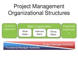 organization structure functional projectized matrix