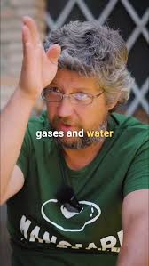 I love the way regenerative farmers turn problems into solutions and assets  😍 By broadcasting clover seeds onto wheat fields in early spring, you get  a clover cover crop growing underneath without
