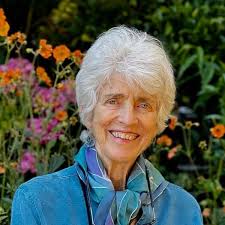 Amazon.com: Turning Words: Transformative Encounters with Buddhist  Teachers: 9781645471318: Senauke, Hozan Alan, Moon, Susan: Books