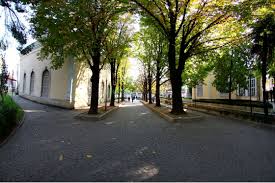 İlk yapıldığında osman gazi türbesi ile aynı atı altında bulunan orhan gazi türbesi , 1801 yılında gerçekleşen yangın sonucu hasar görmüştür. Bursa Osmangazi Orhan Gazi Turbesi Bursa Gezi Rehberi