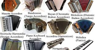 Akkordica Virtual Accordion Chemnitzer Concertina Bandoneon Bayan Harmonica And Melodica Vst Vst3 Audio Unit Plugins Plus Exs Harmonicas The Unit Accordion