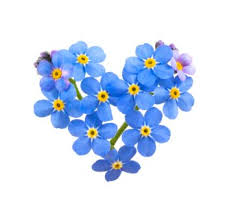 In addition to cognitive issues, most dementia sufferers also have neuropsychiatric symptoms like anxiety, depression, and social withdrawal. 7 A S Of Dementia What They Are And How You Can Help Flower Drawing Flower Tattoos Forget Me Not Tattoo