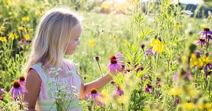 Untuk itu saya mencoba urun rembuk ketenangan psikologis orangtua read more. 6 Contoh Doa Katolik Mohon Keberhasilan Anak