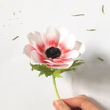 Pin On Plants Florals