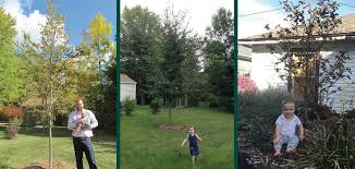 And the family tree garden center definitely had both! Family Tree Discount Knowledgebase Johnson S Nursery