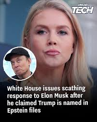 The White House has finally formally responded to Musk's claims