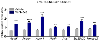 Diet, a sedentary lifestyle and low levels of exercise are something that fatty liver patients have in common. Nutrients Free Full Text Ketogenic Diet A New Light Shining On Old But Gold Biochemistry Html