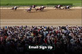 Check spelling or type a new query. Horsemen Nyra