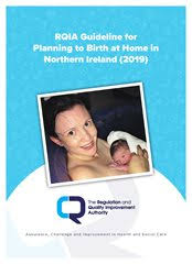 Regulation And Quality Improvement Authority Regulation And Quality Improvement Authority Health Social Care Services Northern Ireland