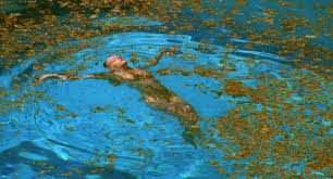 Cinematic Corner Movie Of The Month July Swimming Pool Swimming Pools Swimming Pool Decorations Pool