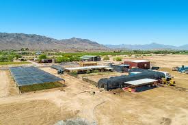 The latest tweets from red wiggler farm (@redwigglerfarm). Arizona Worm Farm Localharvest