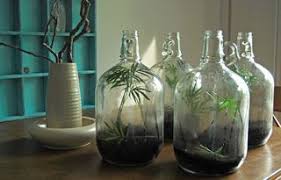 19 Inspiring Ideas For Easy Diy Terrariums Plant In Glass Terrarium Diy Diy Glass