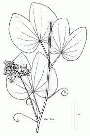 We did not find results for: 10 Pics Of Tropical Rainforest Plants Coloring Pages Rainforest Coloring Home