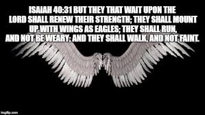 Angel Wings Meme Generator Imgflip Memes Angel Generation