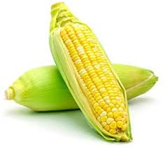 Cover the seeds with 1 inch of soil. Amazon Com Awesome Xr Hybrid Bicolor Sweet Corn Seeds 50 Seeds Per Packet Non Gmo Seeds Isla S Garden Seeds Patio Lawn Garden