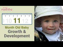 11 Month Old Baby Development Activities Care Tips Youtube