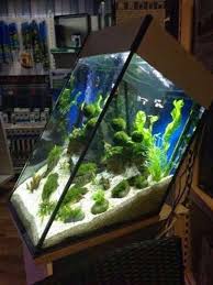 Akvaryum Modelleri 2019 Guzel Sozler Aquarium Fish Tank Aquarium Aquarium Fish