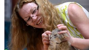 GALLERY: Kitten a cat show scene-stealer