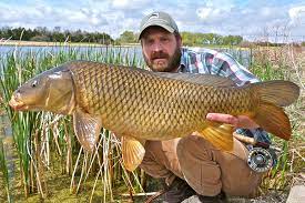 The grass carp (ctenopharyngodon idella) is listed as a potentially harmful exotic species in texas. The 15 Best Carp Flies