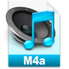 images?q=tbn:ANd9GcSw_bRgq08DIGMqQpPFGZn