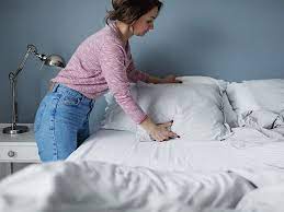 •), which are bed bug excrement and may bleed on the fabric like a marker would. Can You See Bedbugs Size Identification Removal Prevention