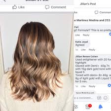 Pin By Natalia Prager On Demi Aveda Hair Color Aveda Hair Hair Color Formulas