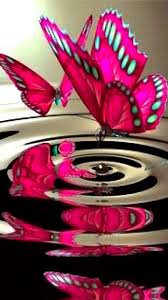 Download Download Hd Wallpaper Of Pink Butterfly Love Butterfly Images Hd 720x1280 Wallpaper Teahub Io