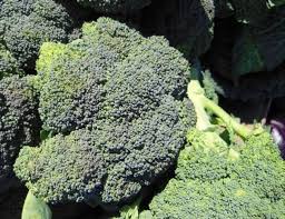 We did not find results for: Coltivare Nell Orto Il Cavolo Broccolo