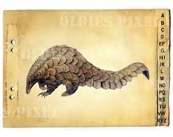 Giant Ground Pangolin Animal Drawing Instant By Oldiespixel Pangolin Ground Pangolin Animal Drawings