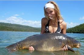 All roads are fit the 19 stations are reliable and from 11 to 18 equipped with new bridges and wood flames. Iblogbuster Hot Winter Offers Max Nollert Interview Neues Video Iblog By Imperial Fishing