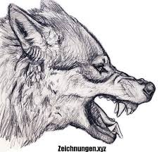 Knurrender Wolf Bleistiftzeichnungen Zeichnungen Zeichnungen3d Zeichnungenabstrakt Zeichnungenabzeichnen Ze Wolf Drawing Wolf Head Drawing Wolf Sketch