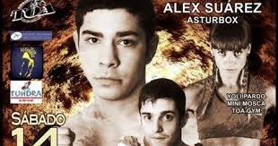 Resultados de la velada profesional de boxeo en Avilés (14-diciembre-2013)