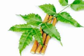 Some images , musics , videos , graphics , are shown in this. 10 Khasiat Neem Anda Himalaya Healthcare Malaysia Facebook