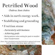 Petrified Wood Crystal Meaning Stone Crystal Therapy Healing Stones