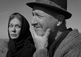 Originalitatea romanului moromeţii stă fără îndoială în noua viziune as. Moromete Family On The Edge Of Time Trailer Ro Cineuropa