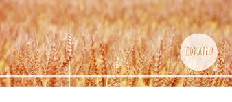 We did not find results for: Mengapa Diperlukan Manajemen Risiko Kredit