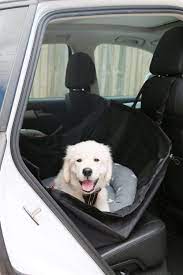 Puppies can be a great addition to many families. Keep Your Puppy Safe And Comfortable On A Car Trip With These 7 Essentials For Pet Car Travel Budget Friendly And Practical The Pet Travel Puppy Safe Puppies