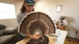 May have to hot glue the tail in place but i think the friction. How To Preserve A Turkey Fan Diy Youtube