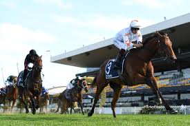 Sur.ly for drupal sur.ly extension for both major drupal version is. 2021 Magic Millions Yearling Sale Catalogue Online