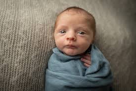 Mandy Noel Photography